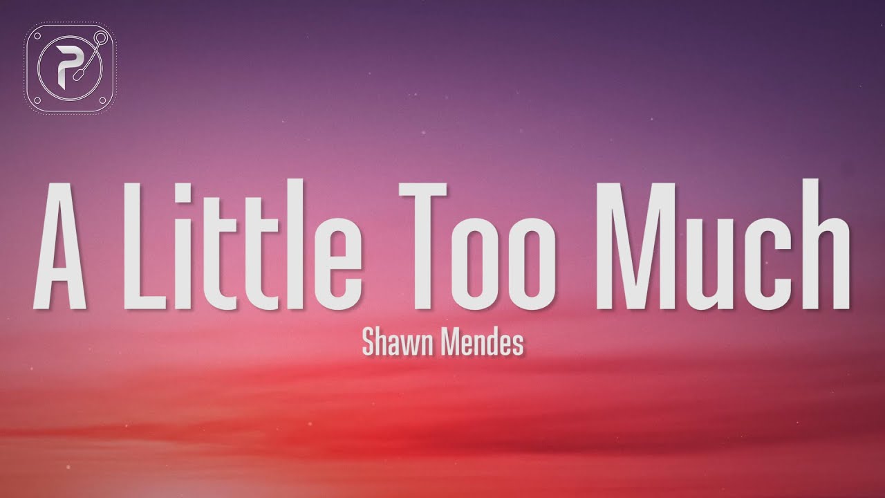 Shawn Mendes - A Little Too Much (Lyrics)