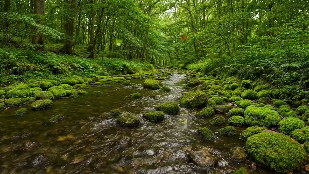 Relaxing River Flow and Singing Birds | Deep Sleep Natural Ambience