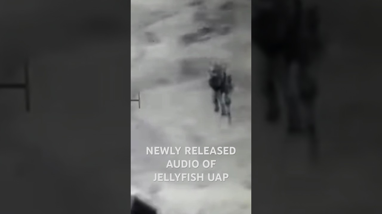 Newly released AUDIO sounds captured during surveillance of the 