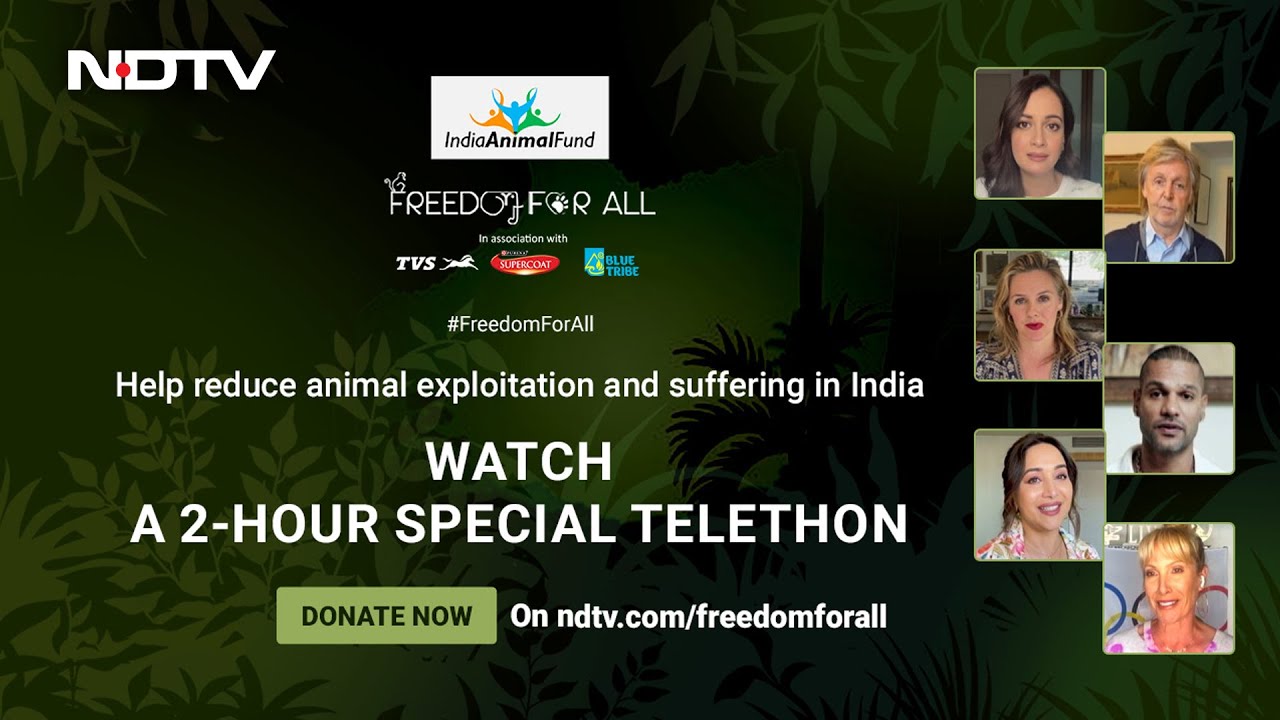 Freedom For All: Help Reduce Animal Exploitation & Suffering In India