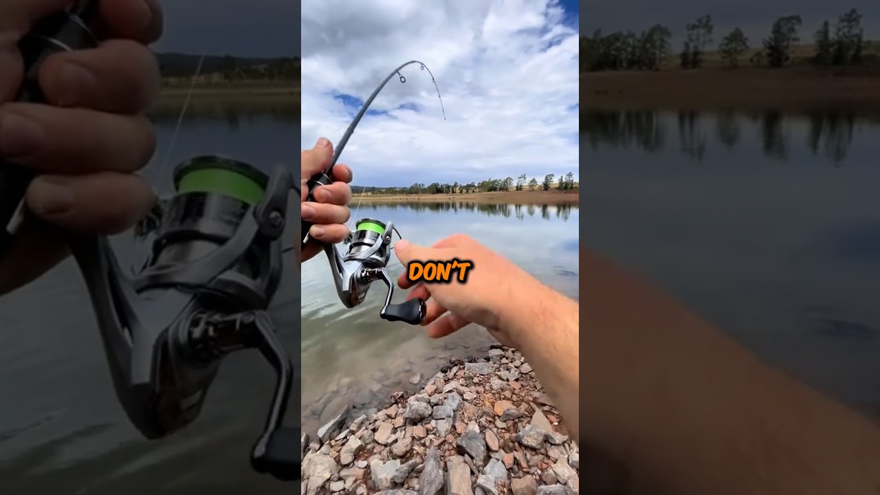 Идеальный стартовый набор для рыбалки🎣