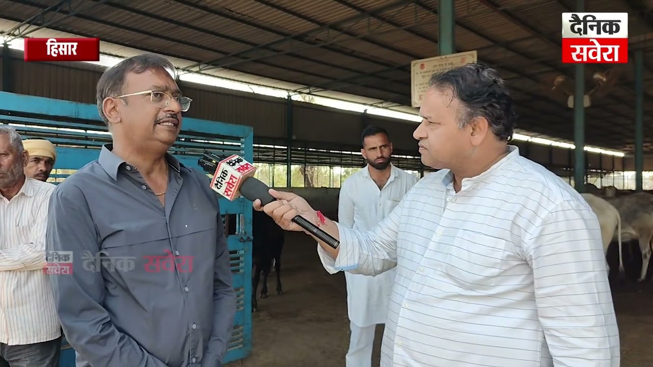 हरियाणा की 697 गौशालाओं में 10 महीने से चारे का संकट
