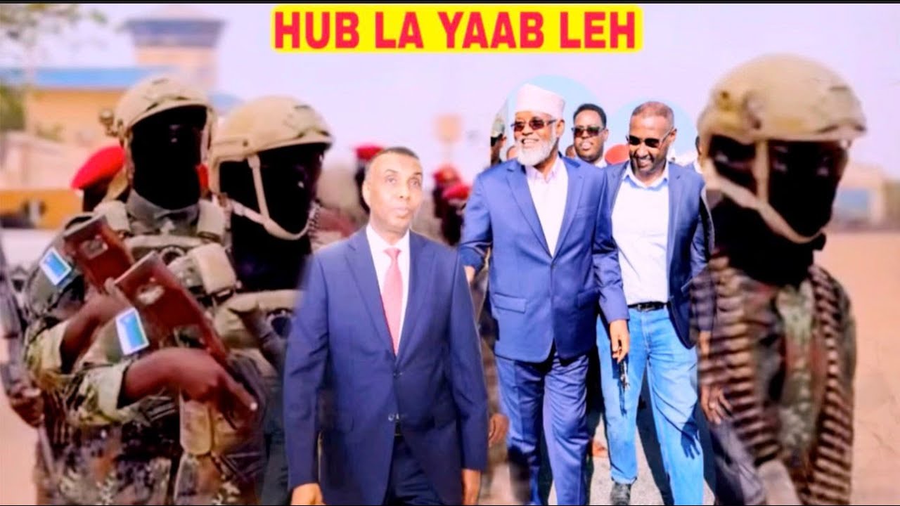 Hub lala yaabay oo ay wataan Ciidanka Madoobe iyo Dani,Xasan Sheekh Shirka,Xogta Halka ay dageen Axm