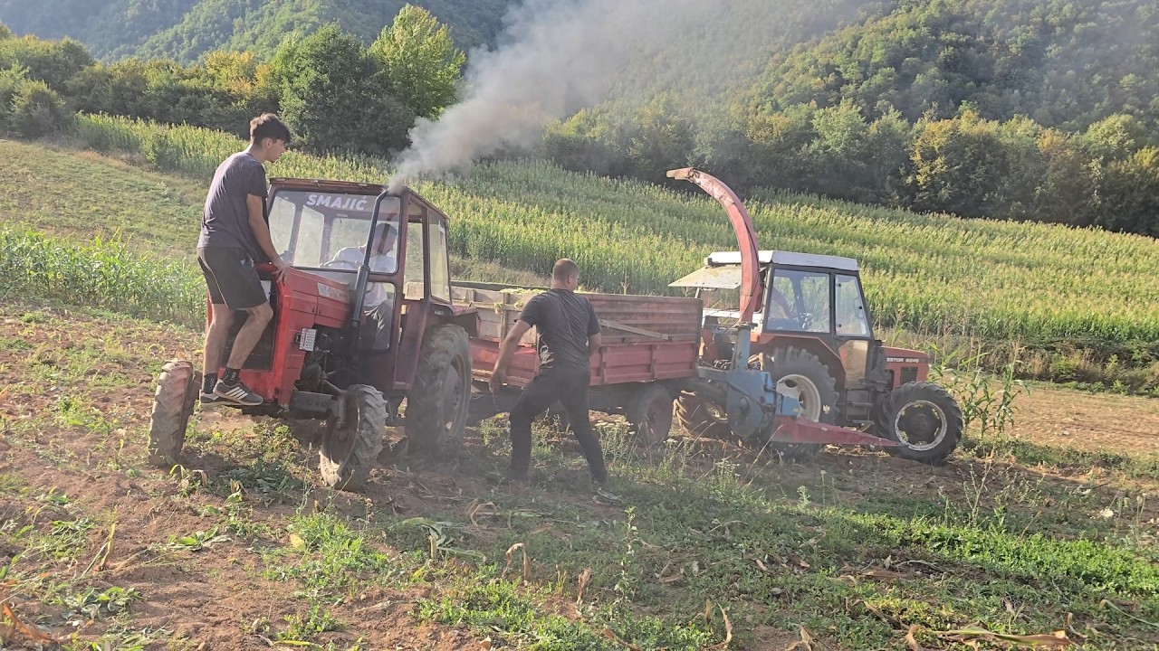 Zetor 6245 - Silaža kukuruza u VELIKOJ STRANI | Zetor 6340 | IMT 542 | Mengele MB 220