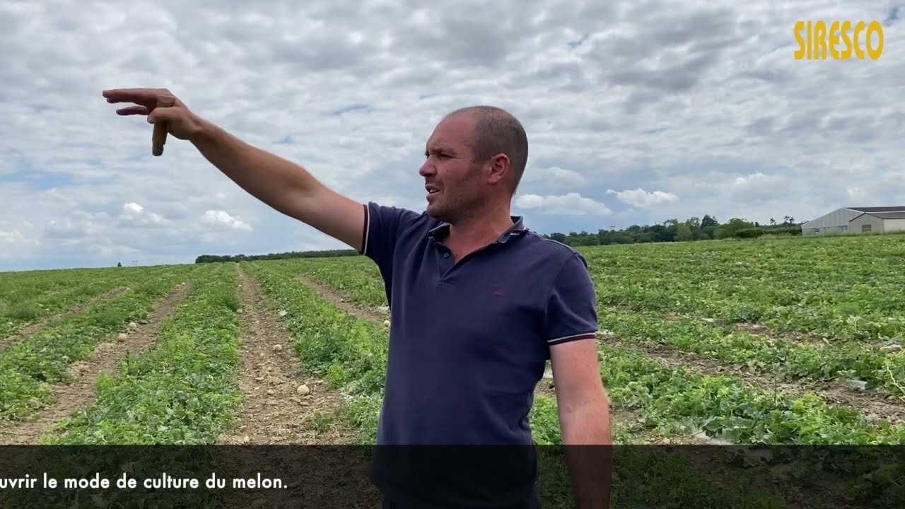 2021 De la terre à l'assiette - Découverte du Melon IGP Haut Poitou et de la Pastèque Bio