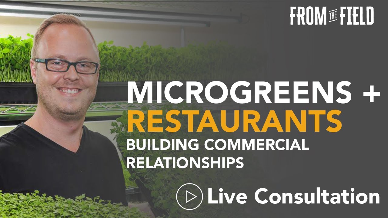 Microgreens Business: How to Approach Restaurants, Using Instagram + More In This LIVE Consultation