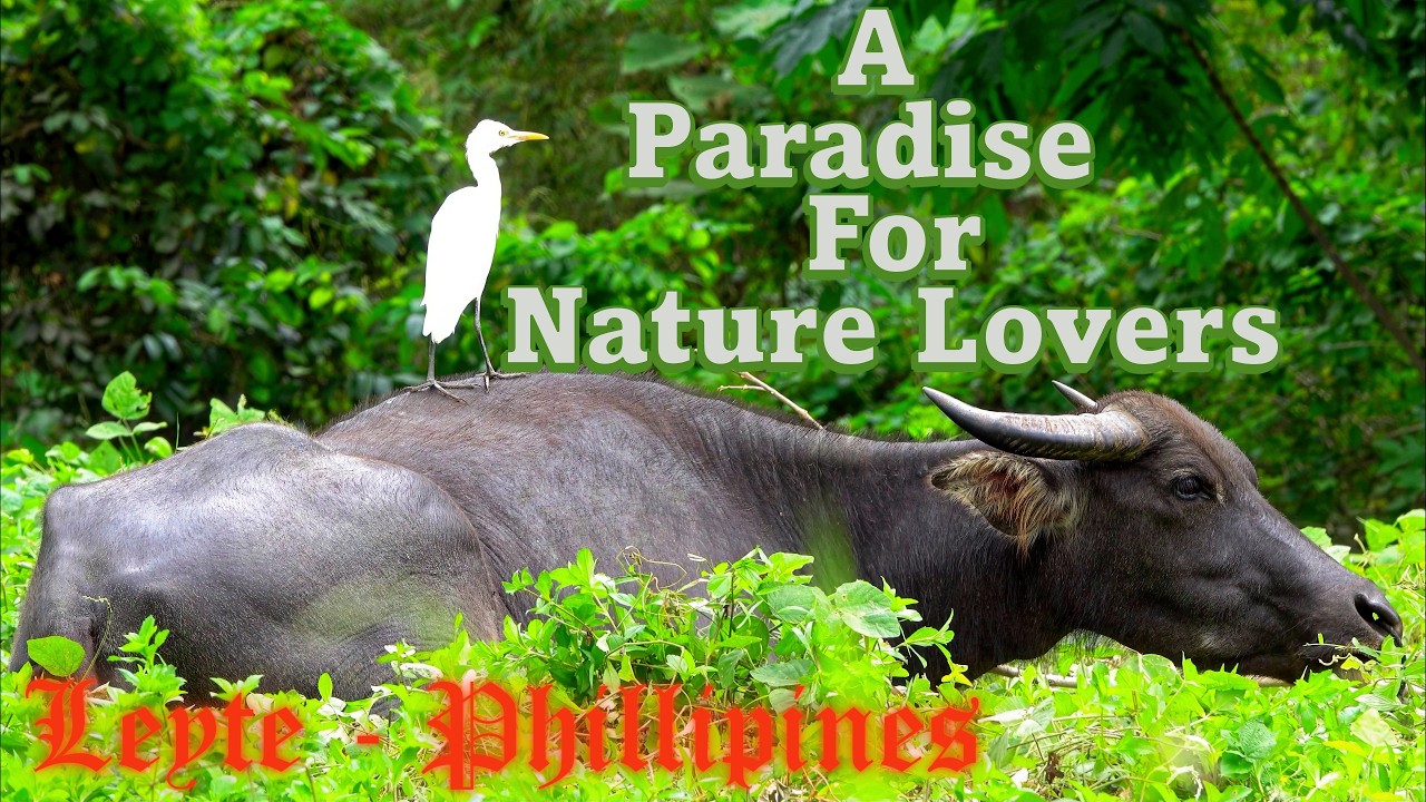 Philippines - Same, Same But Different