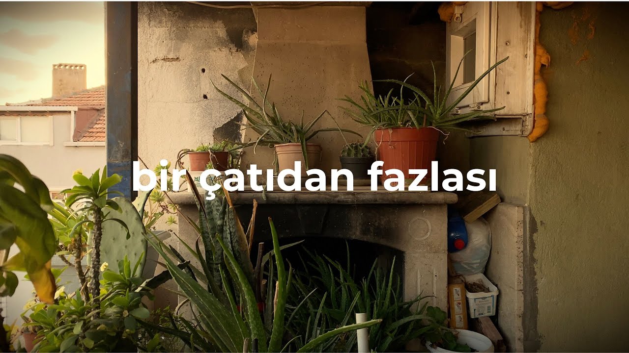 bir çatıdan fazlası