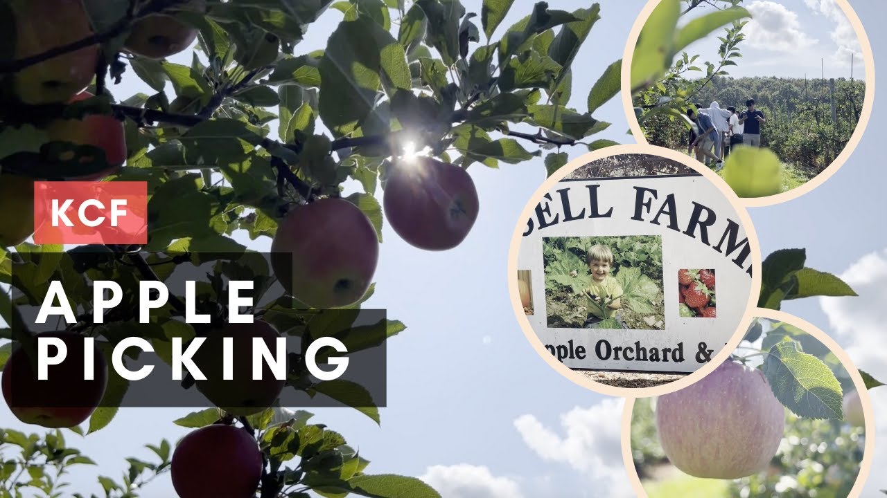 KCF Apple Picking | Russell Farms