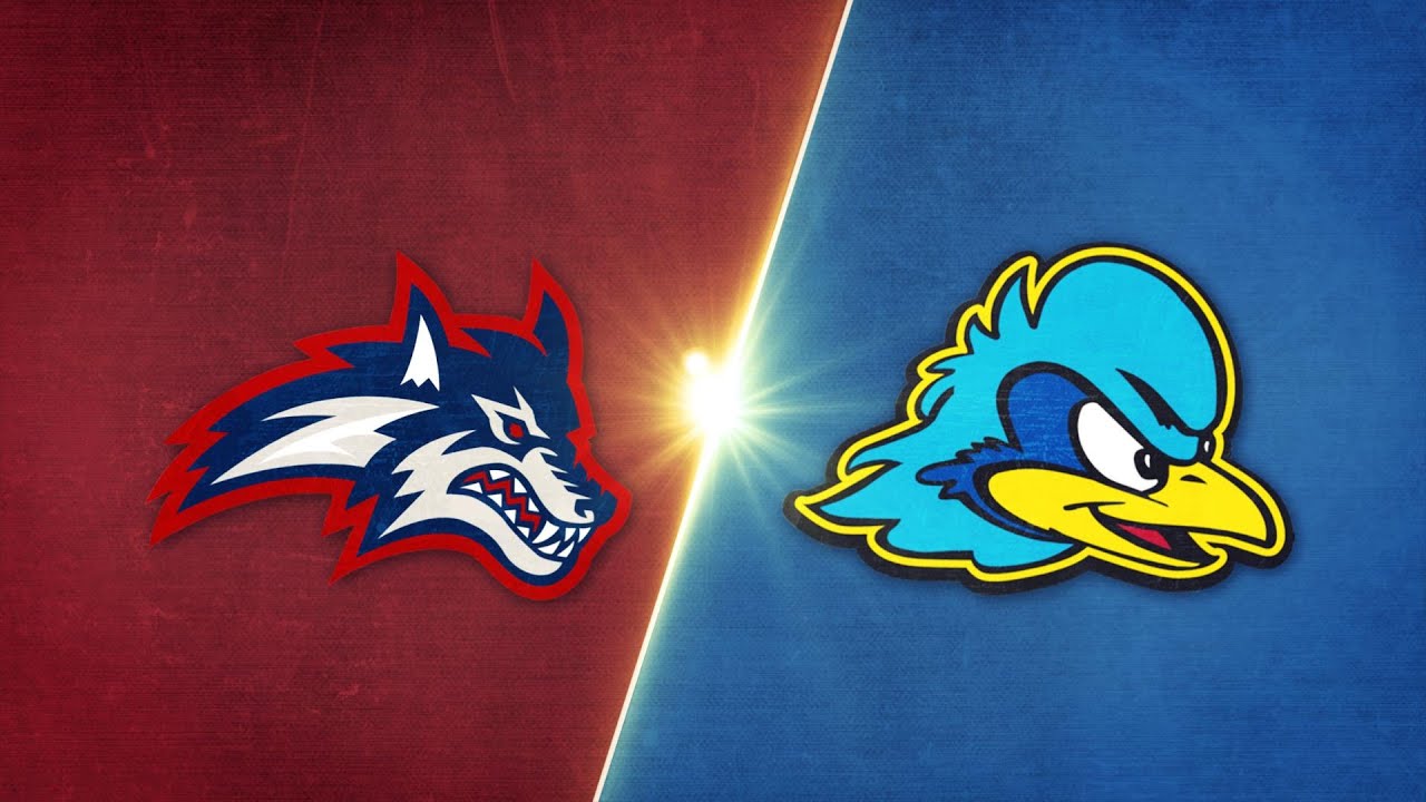 Highlights: Delaware vs. Stony Brook | 2023 CAA Football