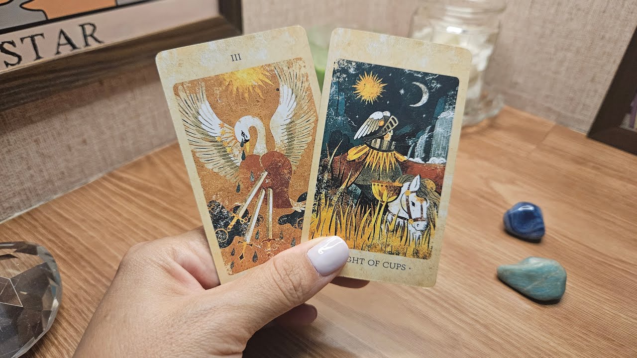 🔴 ELE(A) VAI TE PROCURAR?