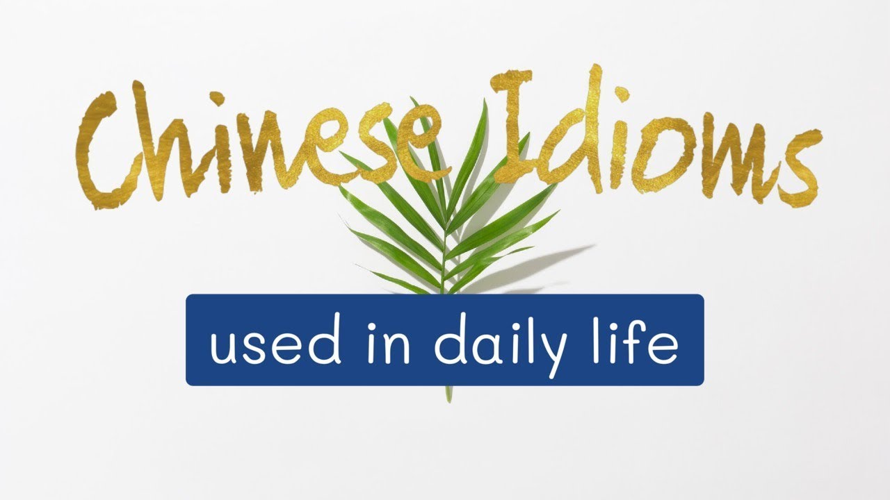 「#Vocabulary Building 1」生活中常用的成语 Chinese IDIOMS in daily life