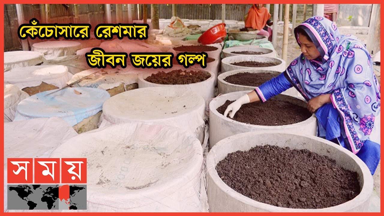 'কে কী বললো আমি শুনতামই না' | Fertiliser Entrepreneur Reshma | Bogura Entrepreneur | Somoy TV