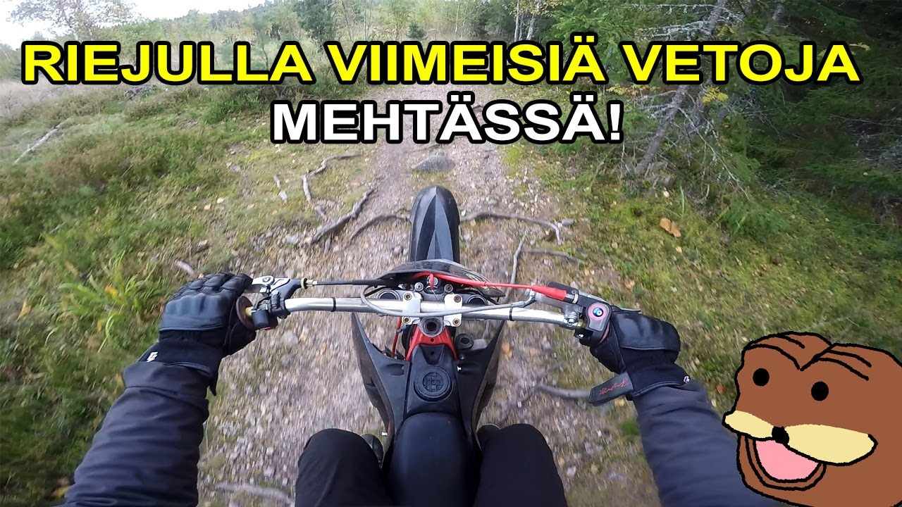RIEJULLA SMOTO ENSKAA!😂