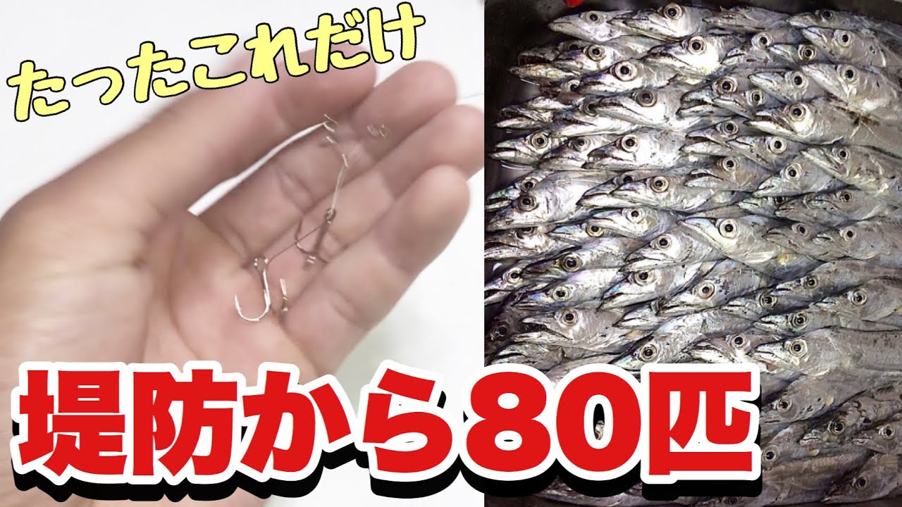 かつて堤防からタチウオ80匹釣った方法で爆釣した。