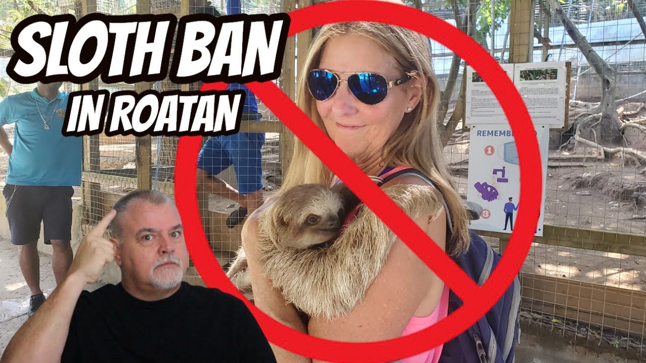 BAN on HOLDING SLOTHS in Roatan, Honduras | Will it affect you?