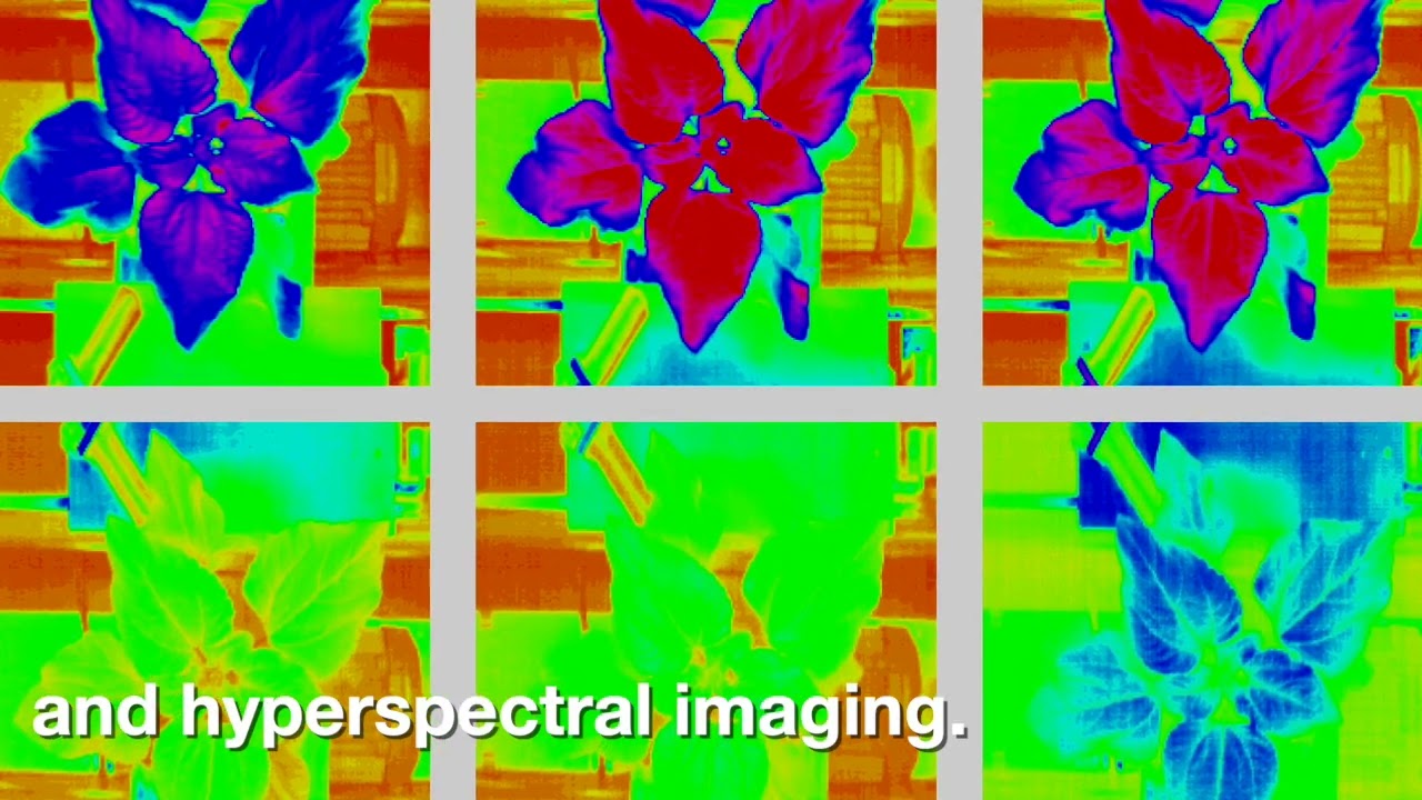 Advanced Plant Phenotyping Laboratory