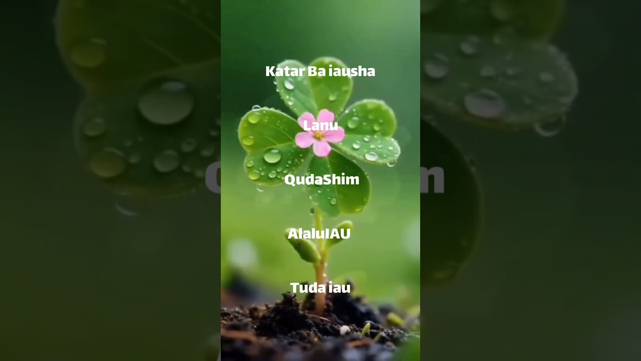 KATAR BA IAUSHA.   432HZ