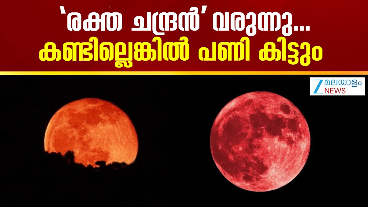 Lunar Eclipse 2026 | ആദ്യ ചന്ദ്രഗ്രഹണവും നടക്കാനിരിക്കുകയാണ്  കണ്ടില്ലെങ്കിൽ വളരെ നഷ്ടമാണ്