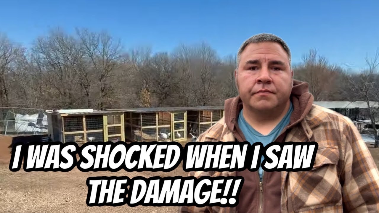 We Slept Through The Tornado Warning And Woke Up To This Damage!!