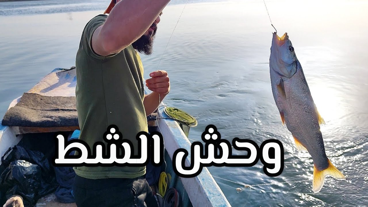 صيد الاسماك النهرية في محافظة البصرة 2024 🇮🇶Basra province