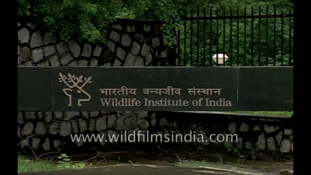 Wildlife Institute of India and Forest Research Institute in Dehradun, Uttarakhand