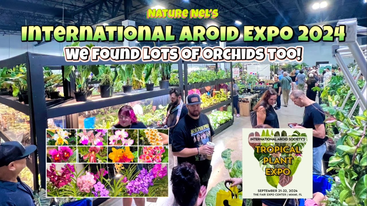 International Aroid Expo in Miami, FL. One of the worlds greatest aroid event. Plus lots of orchids