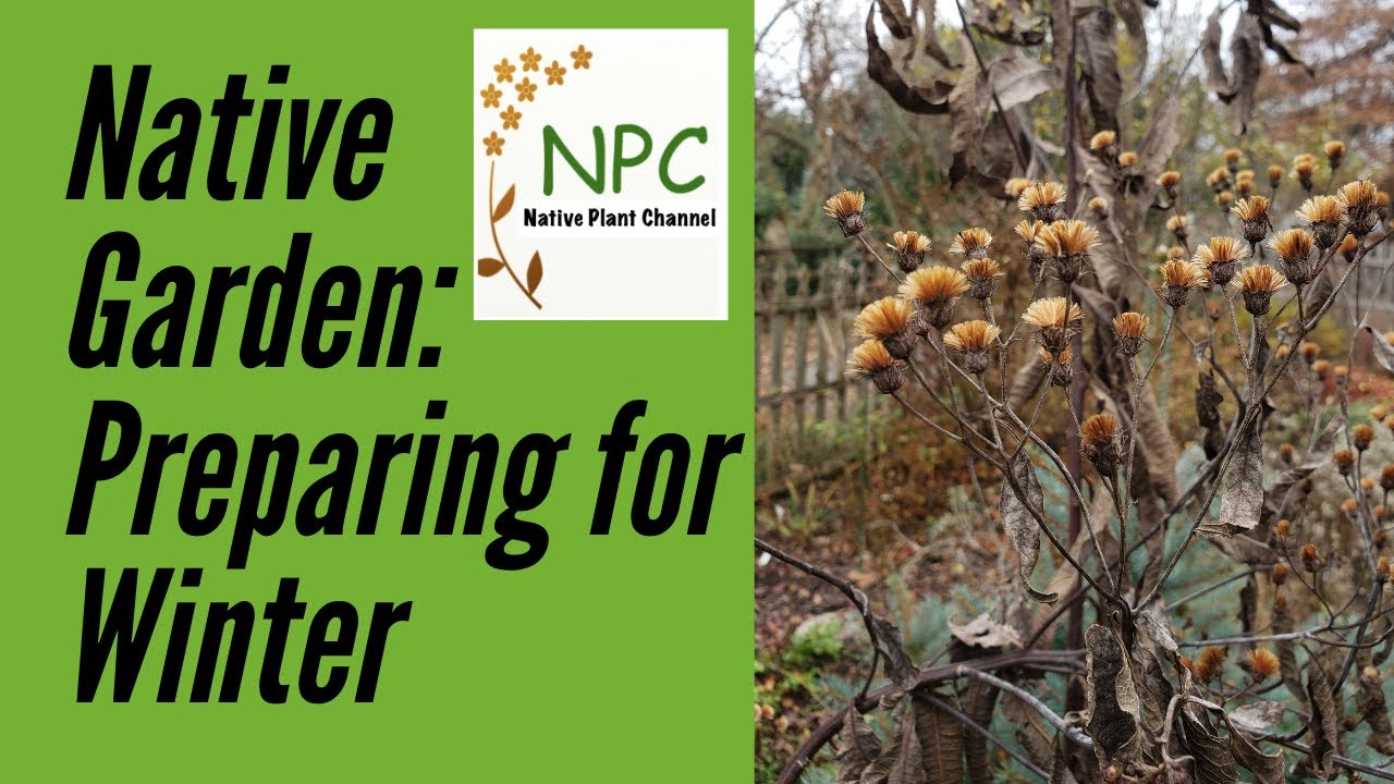 Preparing the garden for winter! What to do and NOT do.