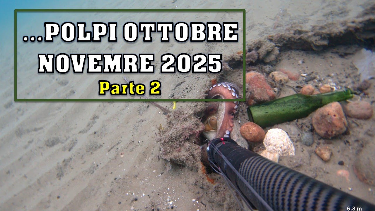 POLPI 2025  vol. 2