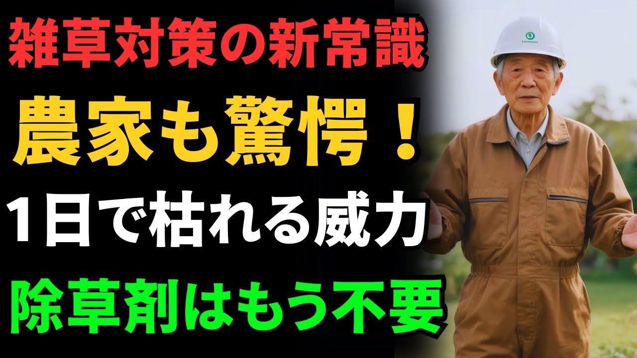 【納豆雑草対策】発酵パワーで庭が一変！農家も驚く1日で枯れる秘密｜雑草対策｜害虫撃退｜農家の経験
