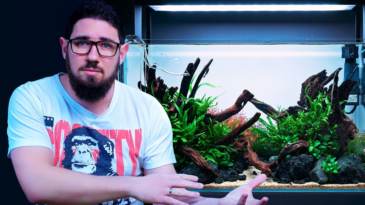 Maintenance On A New Planted Aquarium - The First 2 Months - Step by Step Tutorial
