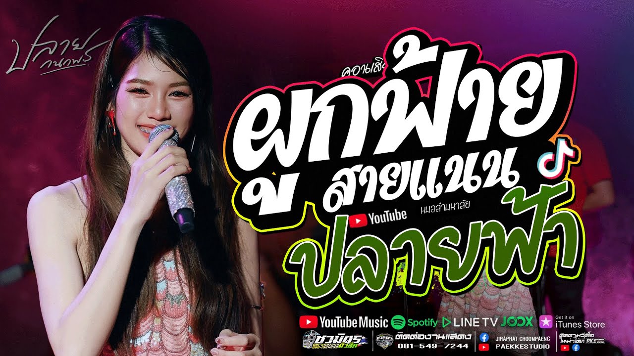 ผูกฟ้ายสายแนน + ปลายฟ้า + บ่โสดบ่อนุญาตให้จีบ ปลาย กนกพร #คอนเสิร์ตปลายกนกพรxชวมิตรแบนด์
