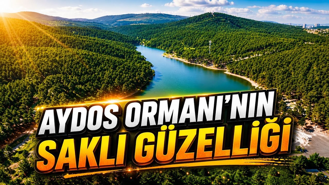 AYDOS ORMANI VE GÖLÜ - İSTANBUL'UN ORTASINDA BİR CENNET