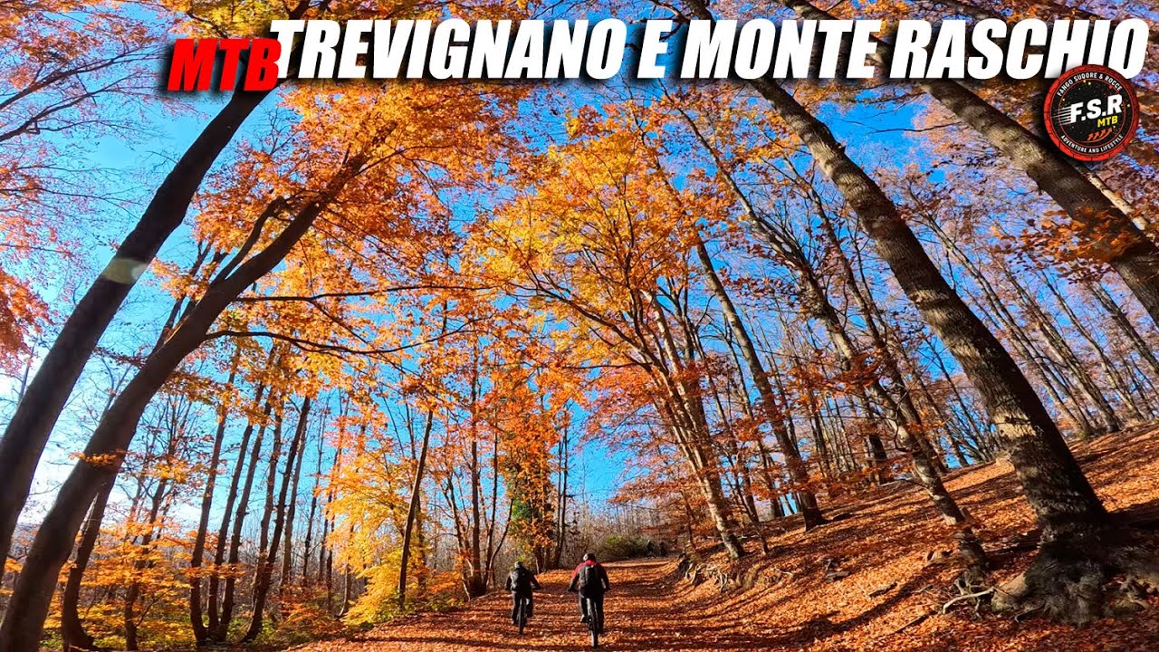MTB MONTE RASCHIO - SINGLE TRACK PETTIROSSO E FAINA