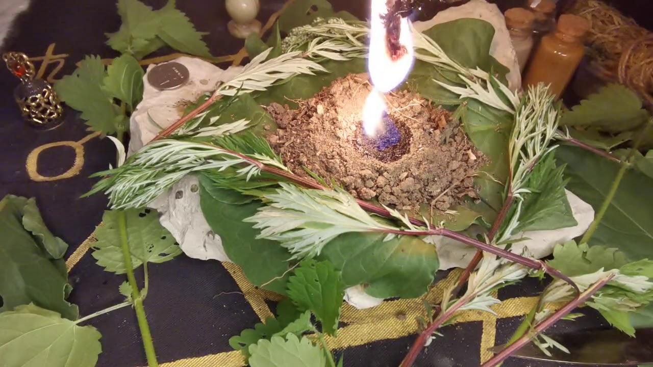 ЧИСТКА ОТ МОРОКА
