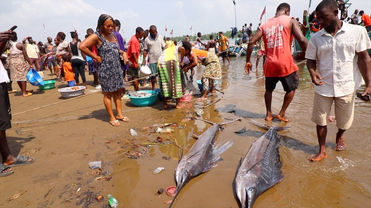 VISITING THE FISH MARKET IN MARSHALL, MARGIBI | LIBERIA 2022 | HelenasQueendom
