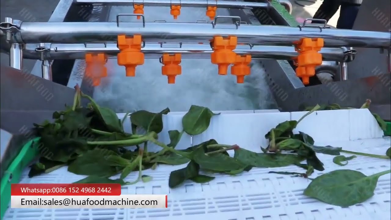 Spinach Leafy Vegetable Ozone Bubble Washing Machine #spinach