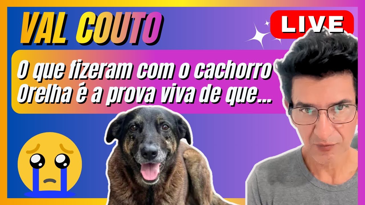 VAL COUTO FAZ LIVE DE PREVISÕES, O que fizeram com o cachorro Orelha é a prova viva de que...