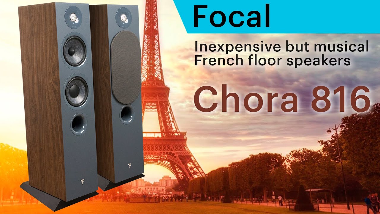 Focal Chora 816. Inexpensive but musical French floor speakers.