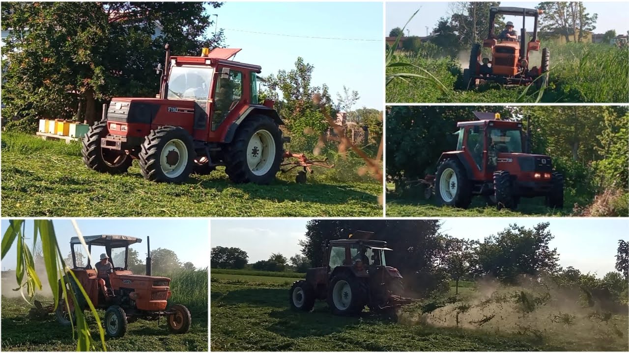 Sfalcio Erba Medica - Fienagione 2024 / Haymaking