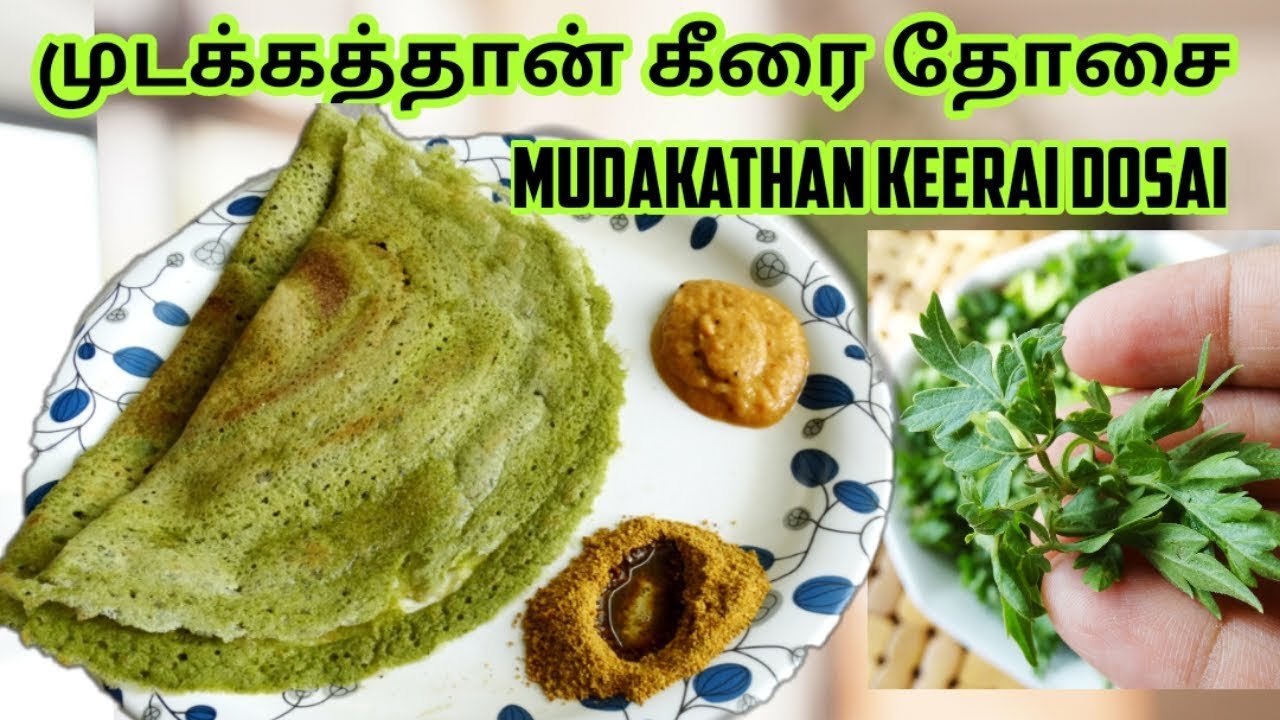 முடக்கத்தான் கீரை தோசை | BALOON VINE DOSA | MUDAKATHAN KEERAI DOSA | BREAKFAST DINNER | ORGANIC DOSA