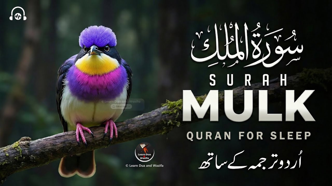 Surah Al-Mulk سورة الملك | Beautiful Relaxing Recitation for Peace, Protection #surahmulk