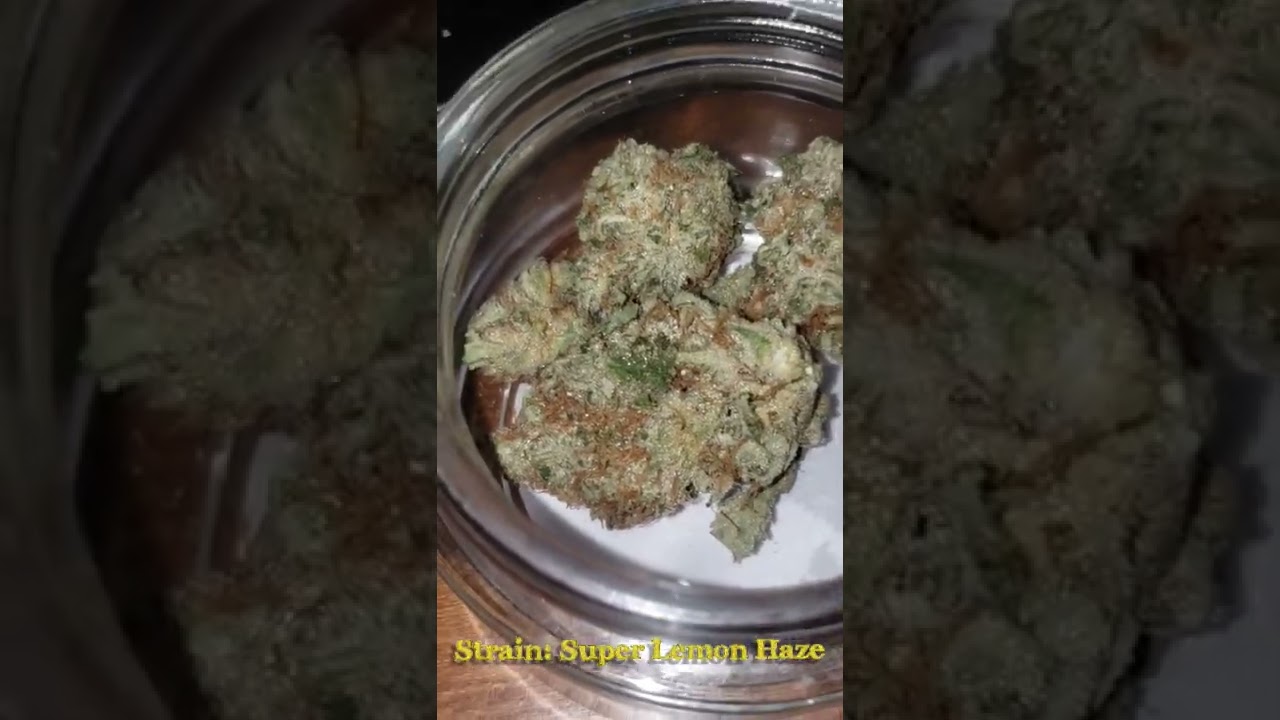 Super 🍋 Haze