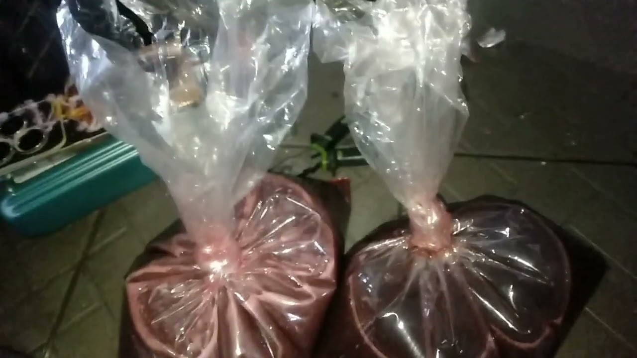 CARA FLUSHING MANUAL OLI MATIC PAJERO SPORT #shortvideo #pajerosport #shorts #short