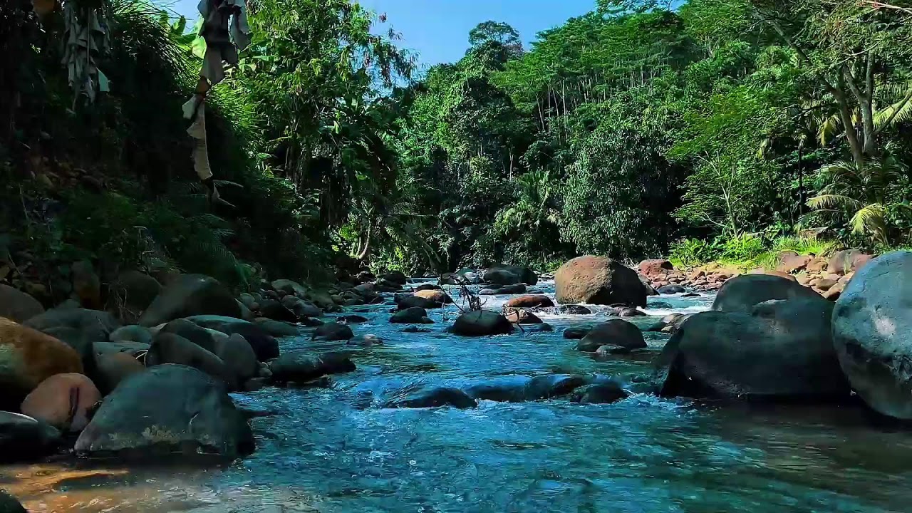 Crystal Blue Forest River Sound for Deep Sleep | Healing Nature Water Relaxation