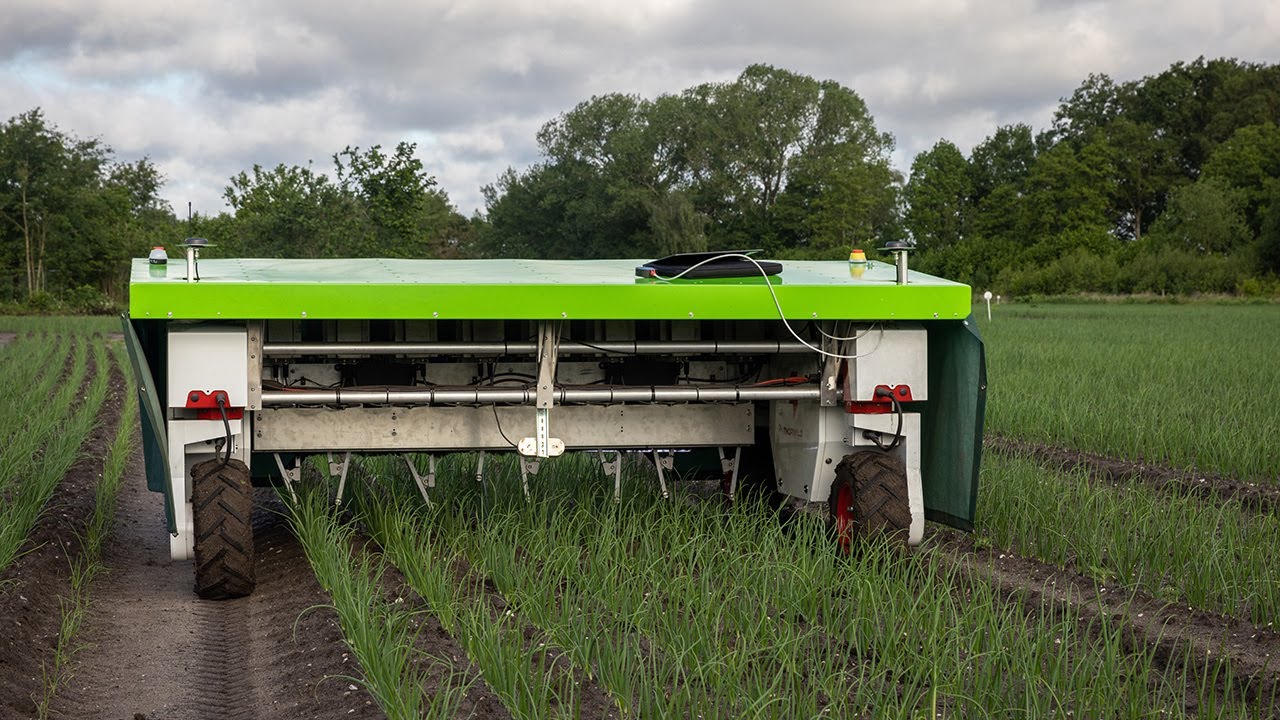 EKOBOT: ONKRUID WIEDEN in UIEN | Nationale Proeftuin Precisielandbouw