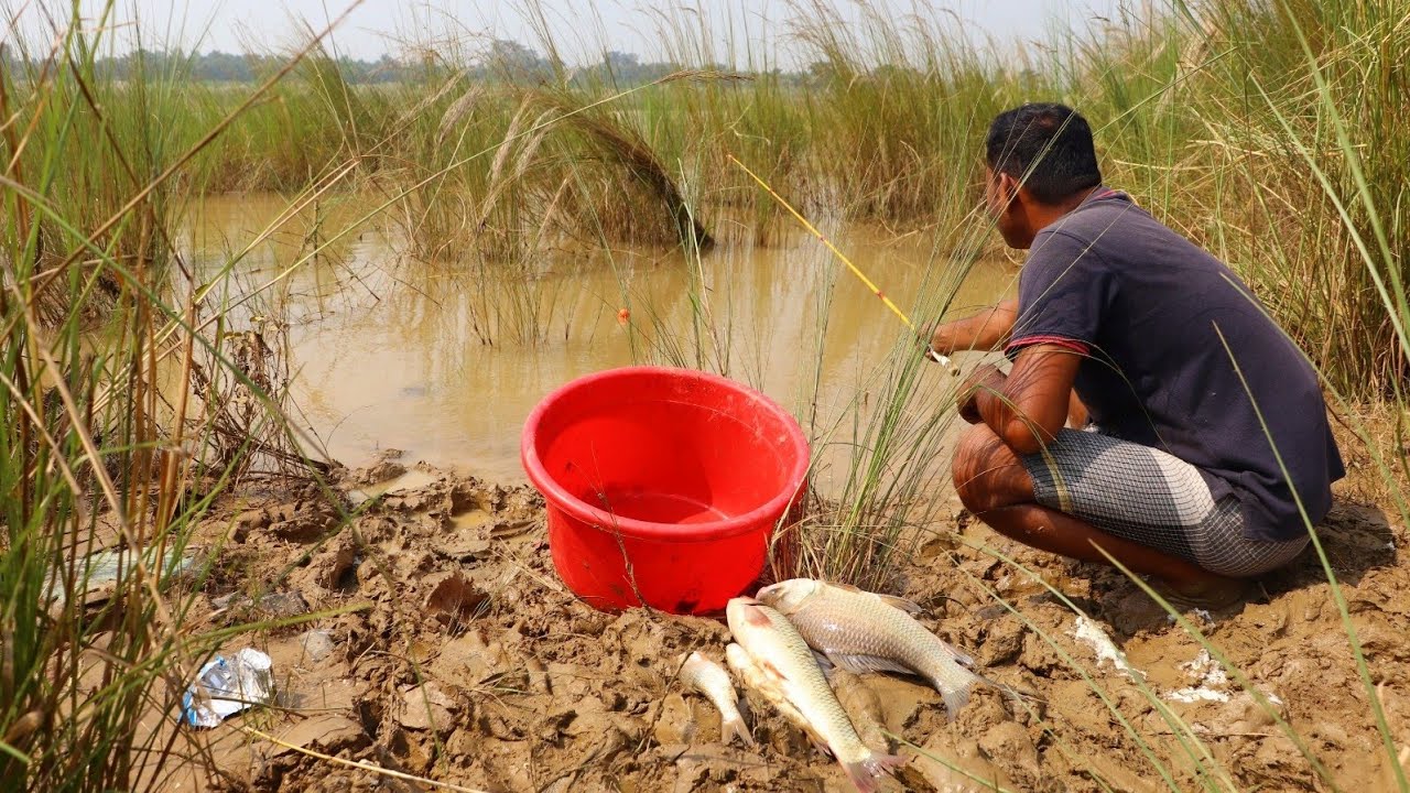 Fishing Video || Only the village boys know the fun of fishing in the river || Fish catching trap