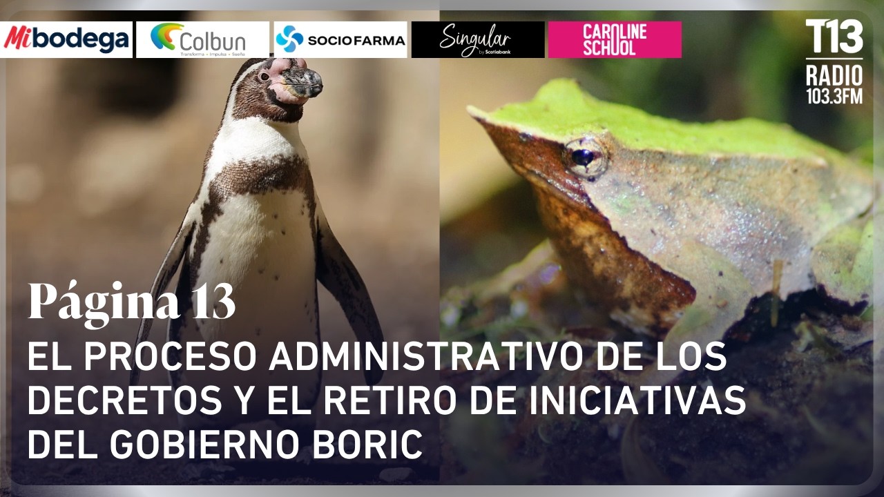 El proceso administrativo de los decretos y el retiro de iniciativas del gobierno Boric | Página13