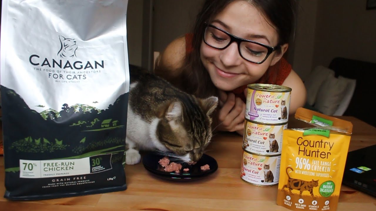 ZDROWE KARMY DLA KOTA? openbox & test z kotem!