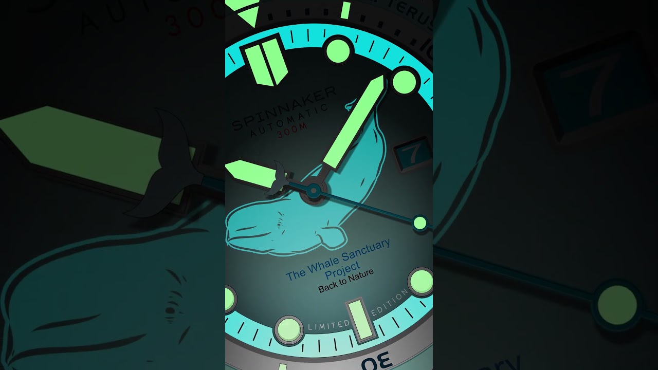 Hass Automatic Whale Sanctuary Project Limited Edition | 